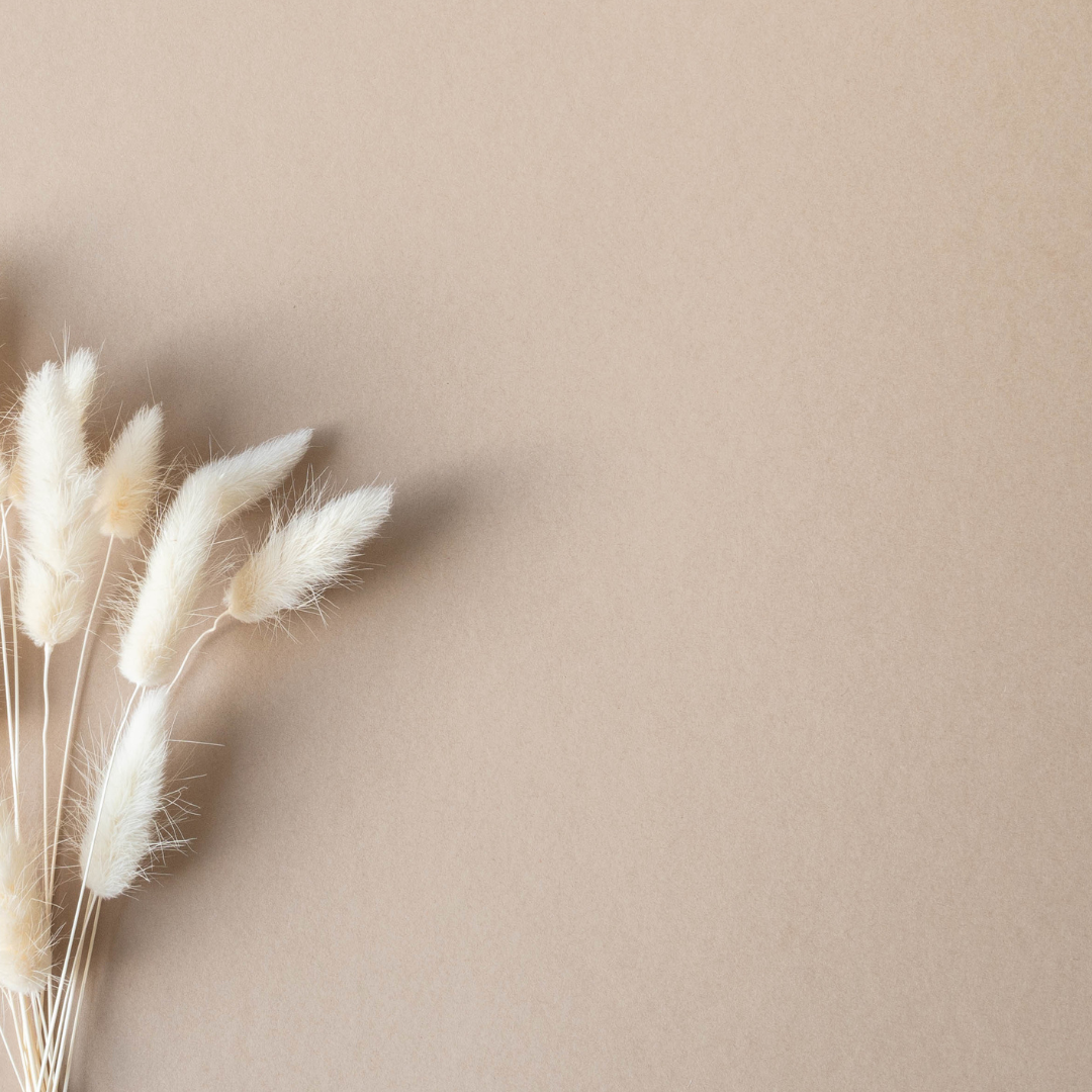 salon del centro de psicologia en mallorca MUST